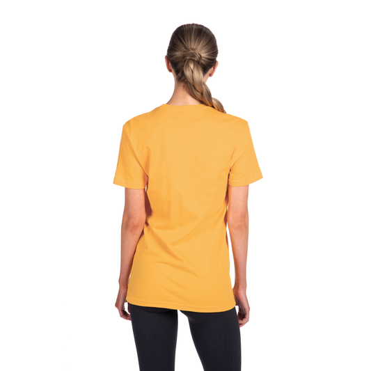 3X-Large Gold Next Level 3600