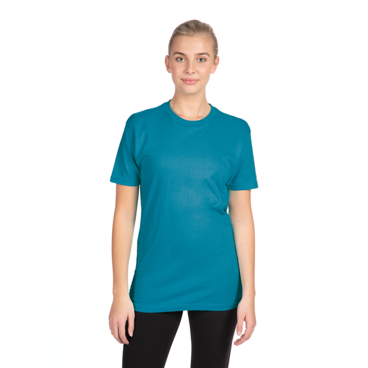 4X-Large Turquoise Next Level 3600