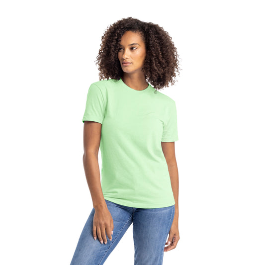 3X-Large Mint Next Level 6210