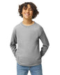Youth Large Sport Gray Gildan 5400B 