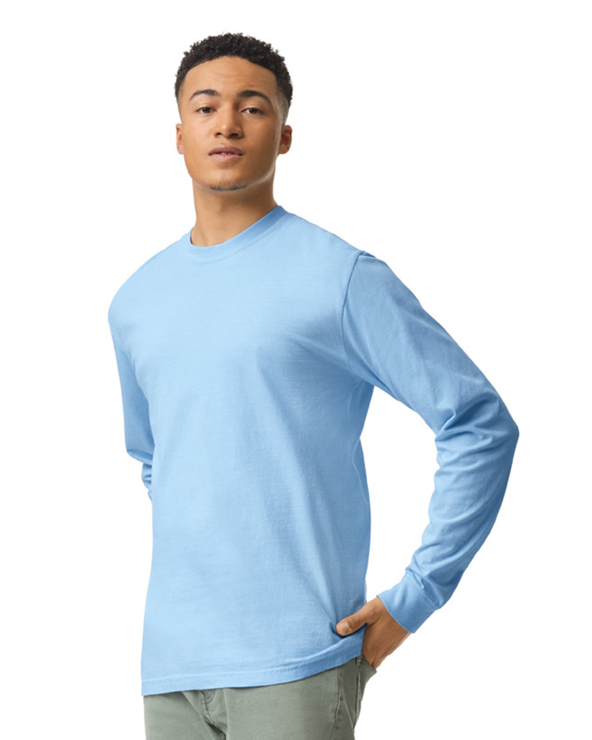Large Hydrangea Comfort Colors 6014 