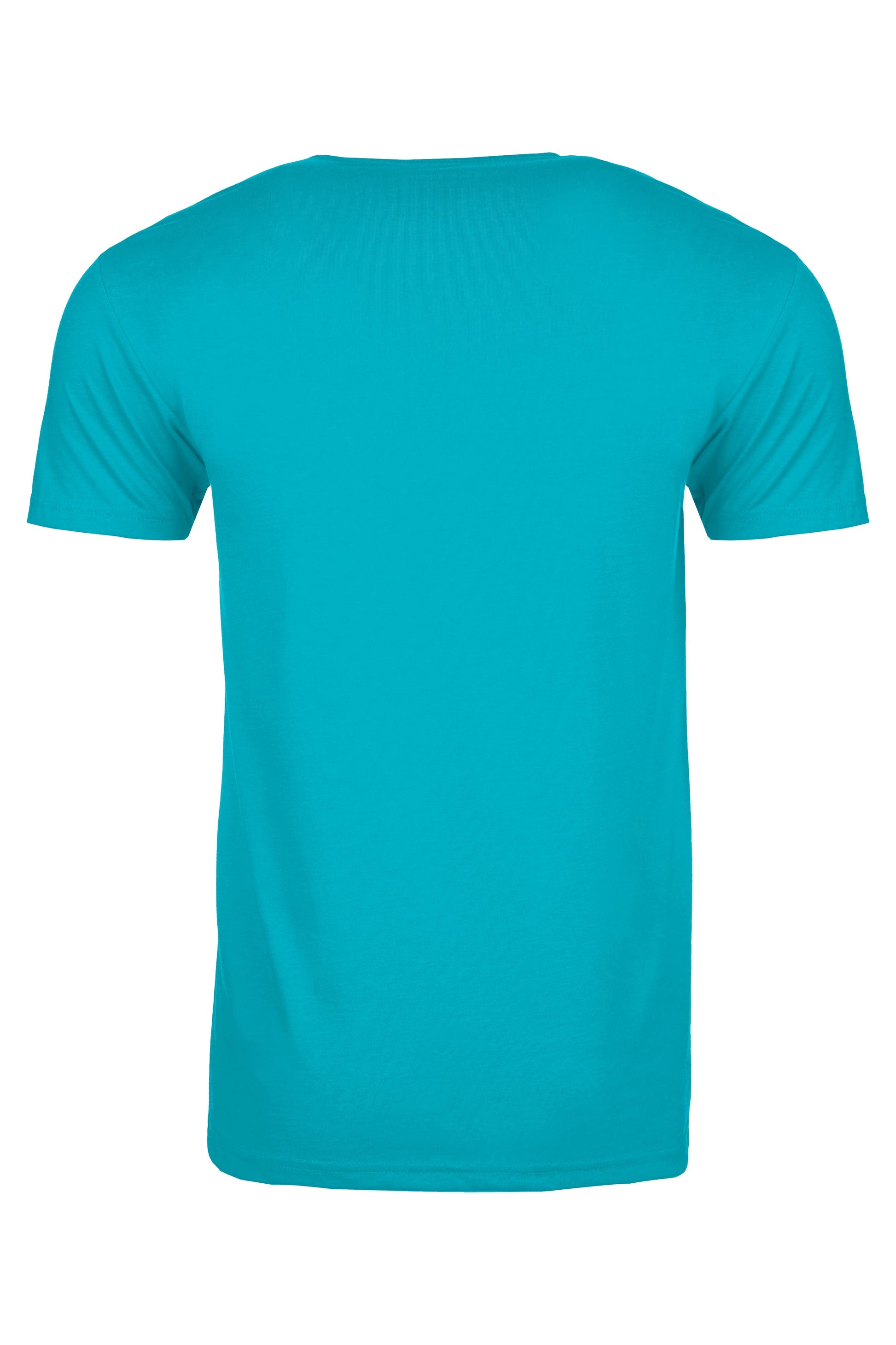 4X-Large Bondi Blue Next Level 6210 