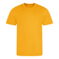 Small Gold AWDis JCA001 