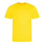 Small Sun Yellow AWDis JCA001 
