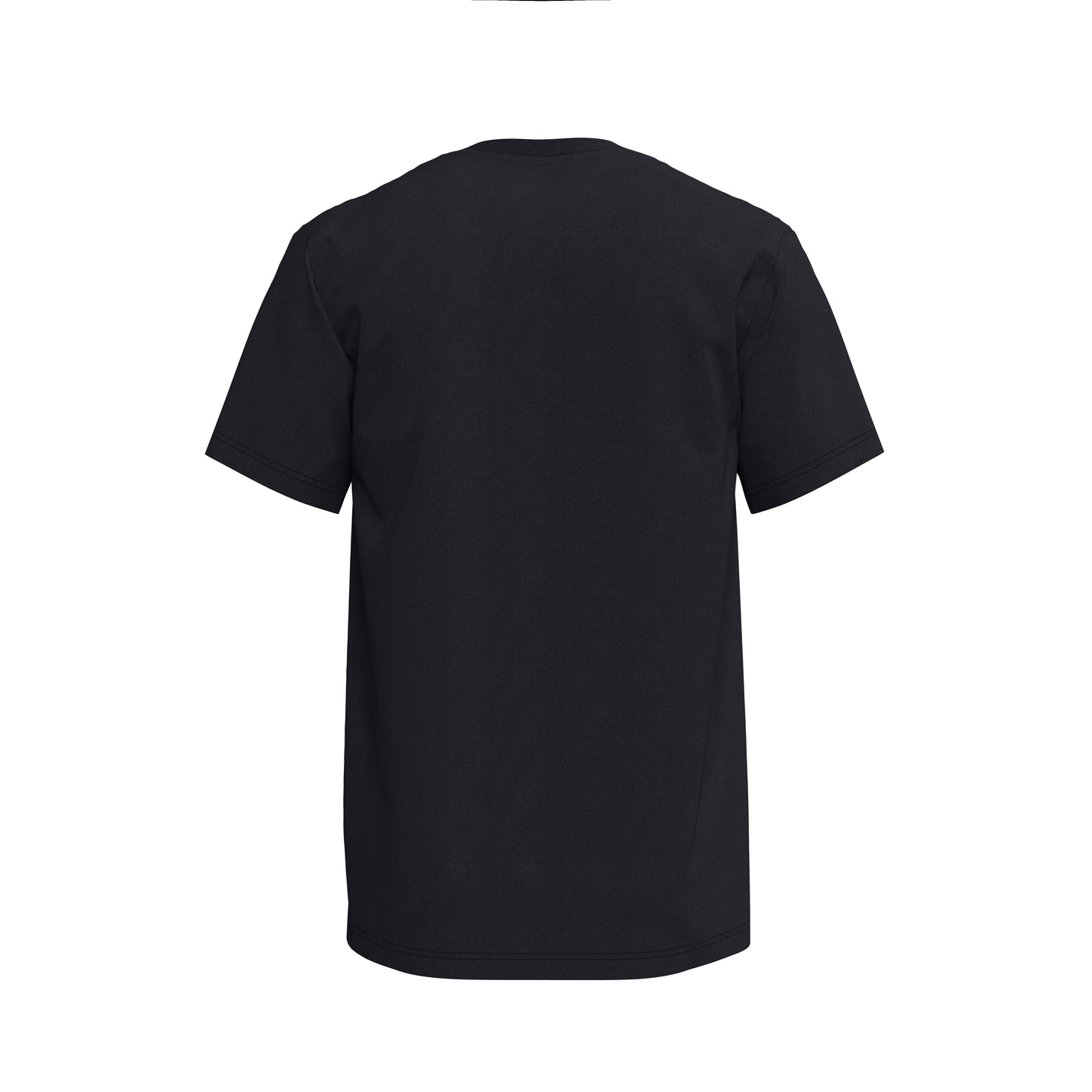 3X-Large Black Next Level 1810 