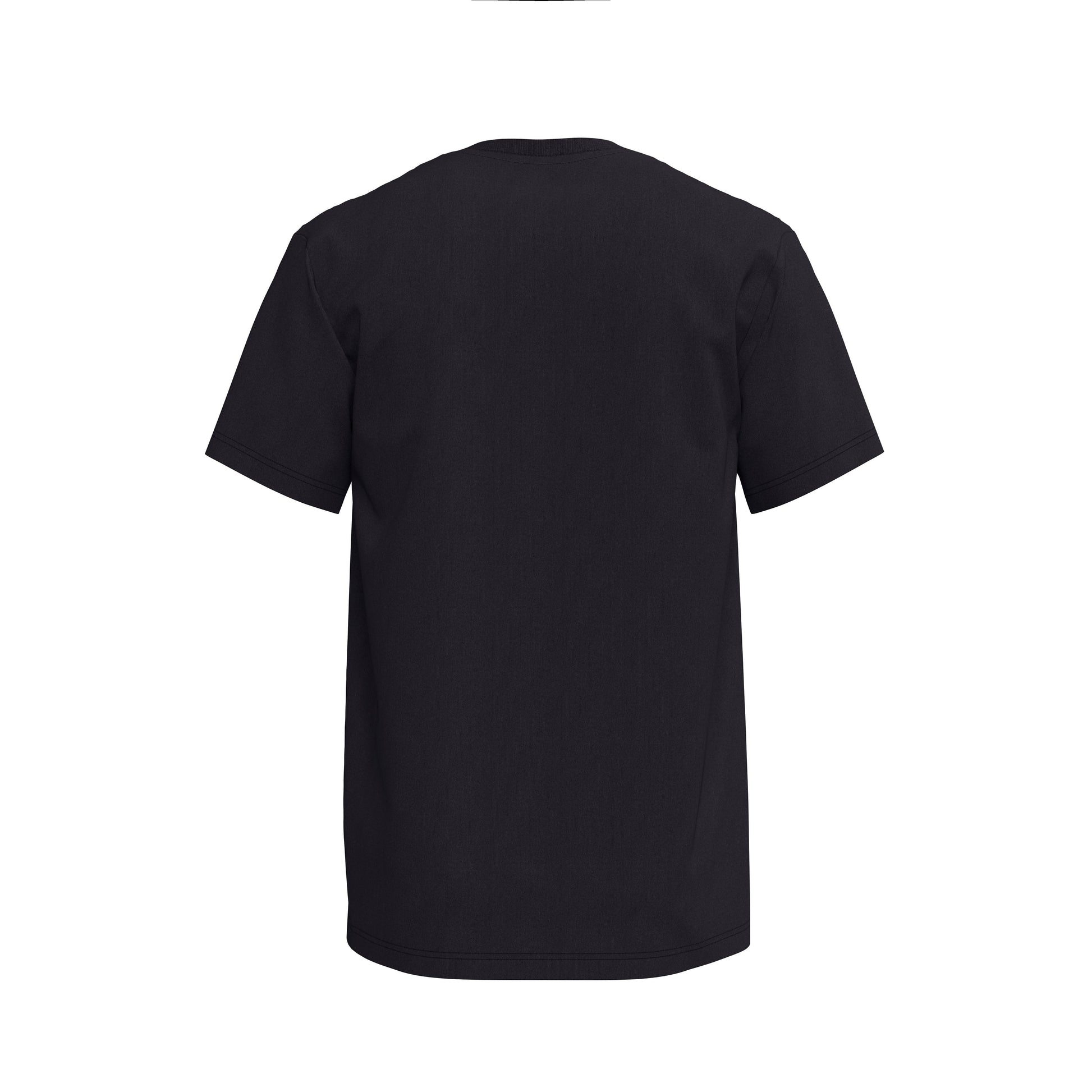 3X-Large Black Next Level 1810 